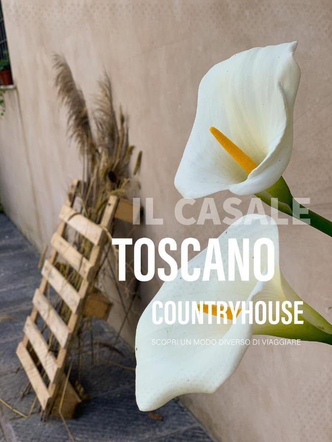 - Il Casale Toscano - 1900Mt From Leaning Tower - No Breakfast - Free Parking - Self Check-In Only From June 15Th ピサ エクステリア 写真