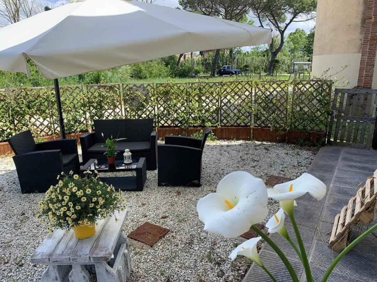- Il Casale Toscano - 1900Mt From Leaning Tower - No Breakfast - Free Parking - Self Check-In Only From June 15Th ピサ エクステリア 写真
