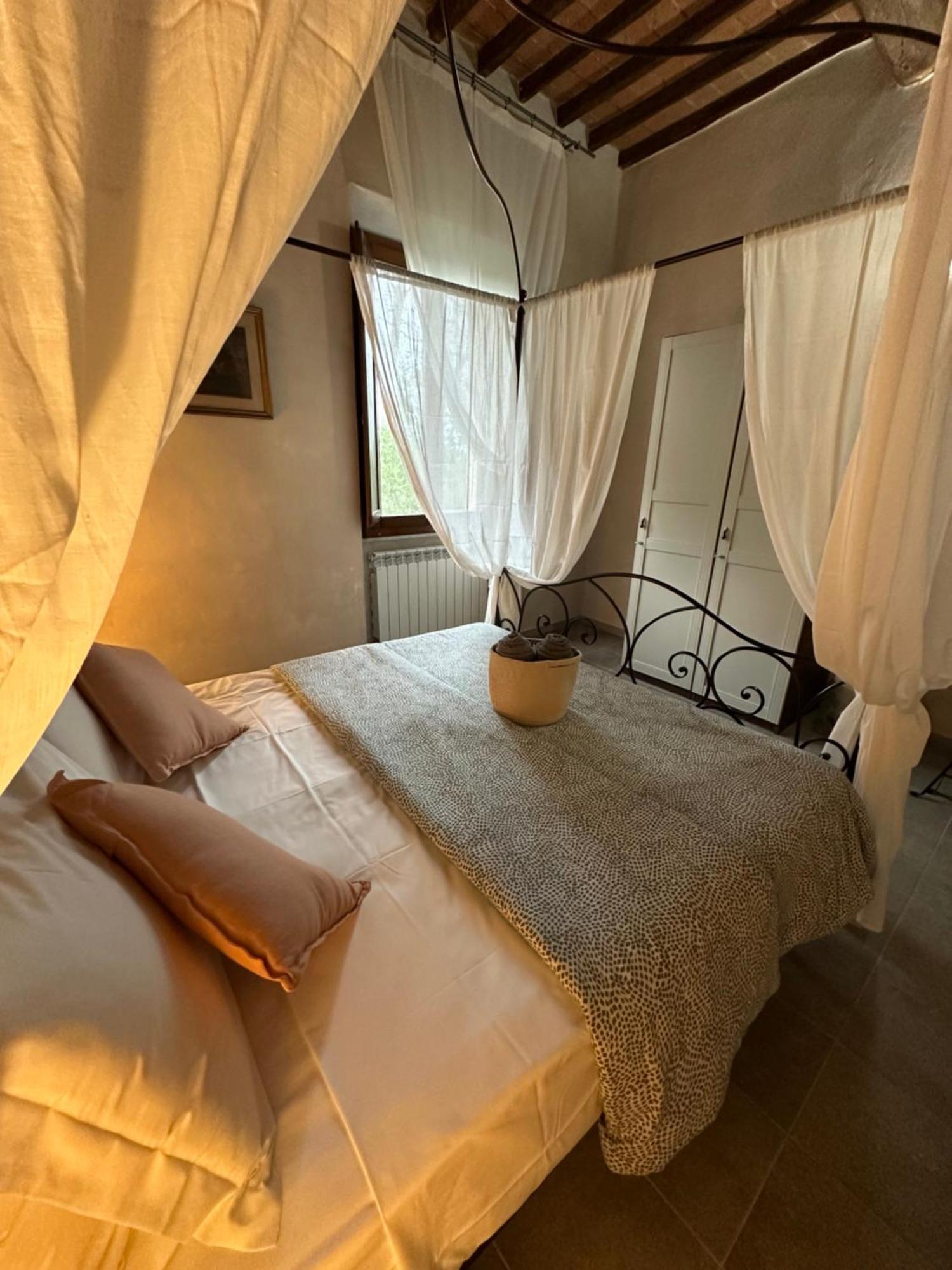 - Il Casale Toscano - 1900Mt From Leaning Tower - No Breakfast - Free Parking - Self Check-In Only From June 15Th ピサ エクステリア 写真
